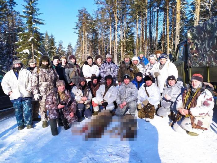 В Шенкурском районе охотники добыли двух волков, один ускользнул